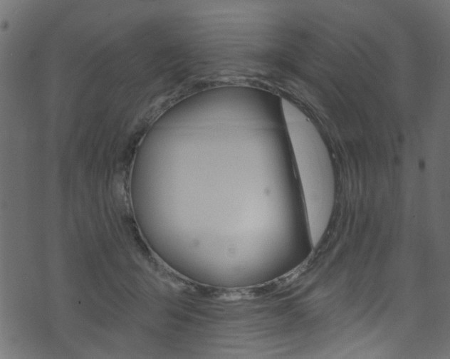 X0000074340415200608251050