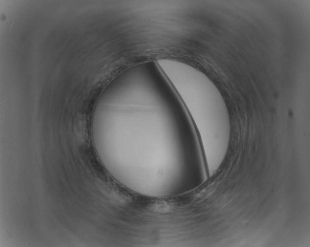 X0000074340416200608251050