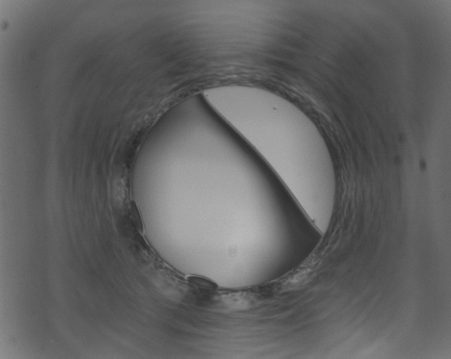 X0000074340417200608251050