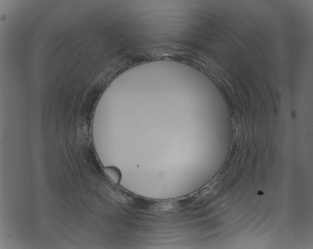 X0000074340418200608251050