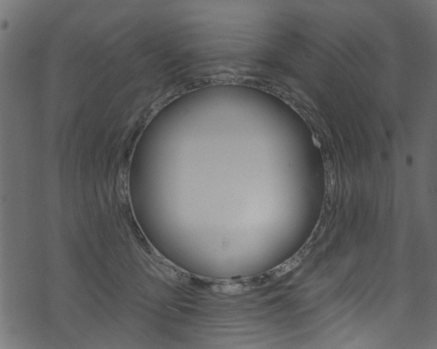 X0000074340419200608251050