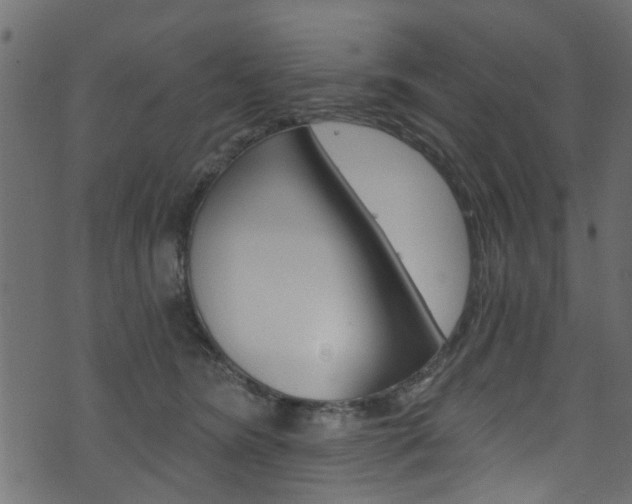 X0000074340420200608251050