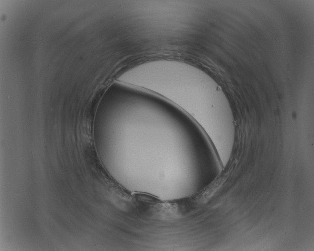 X0000074340421200608251050