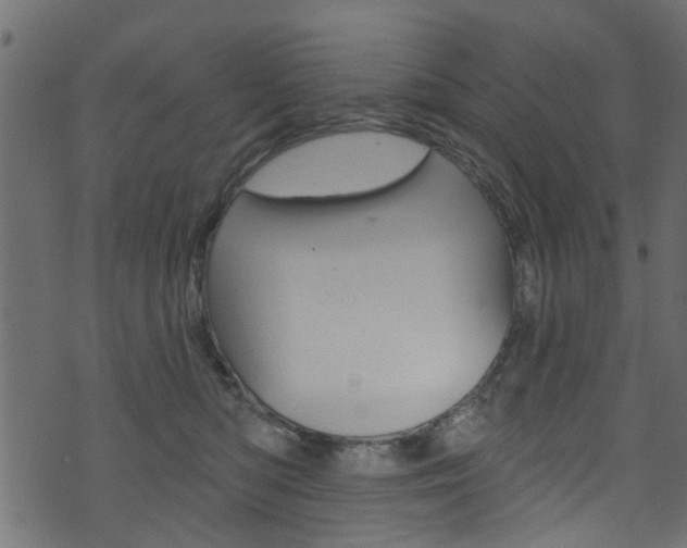 X0000074340422200608251050