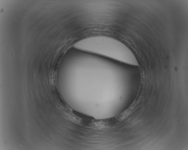 X0000074340423200608251050