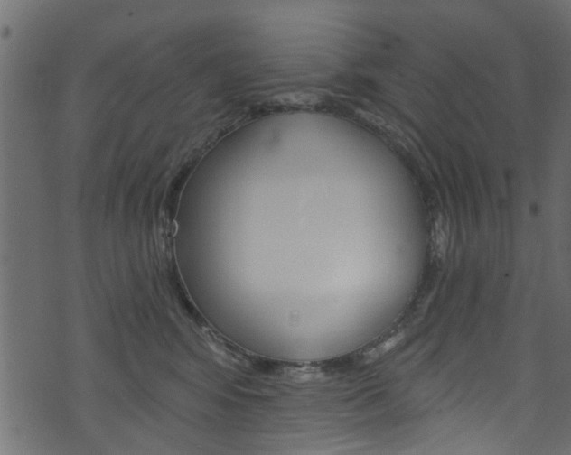 X0000074340424200608251050