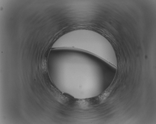 X0000074340425200608251050