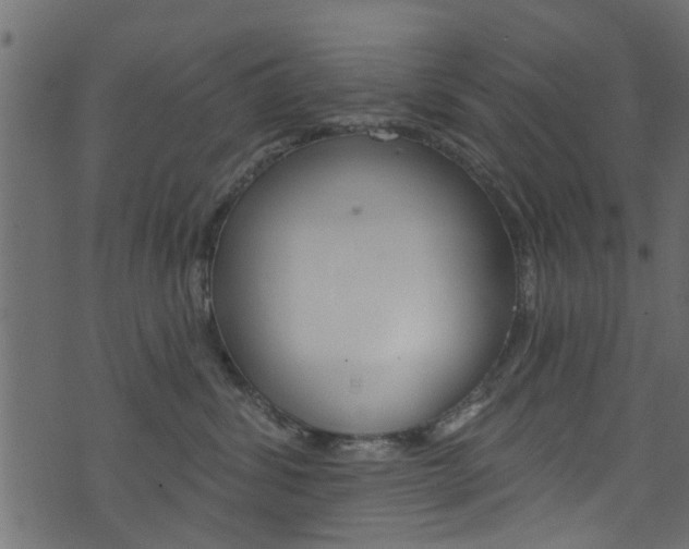 X0000074340428200608251050