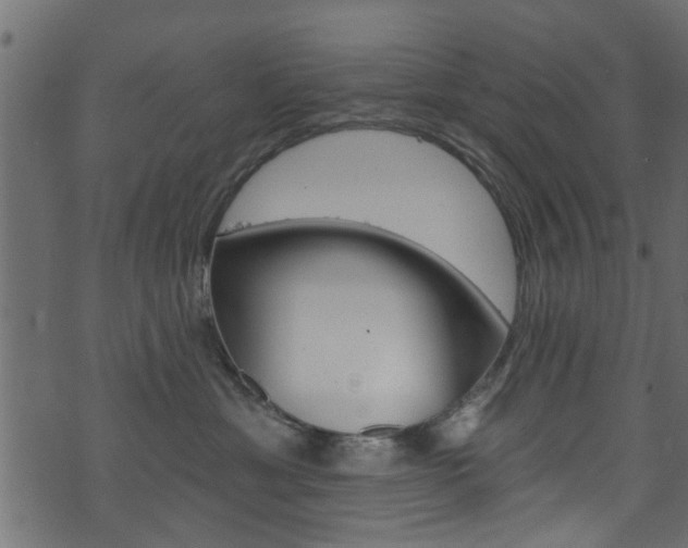 X0000074340429200608251050