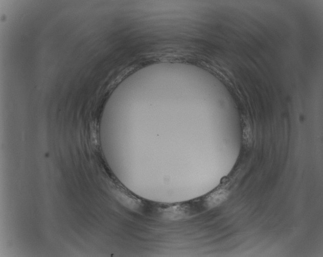 X0000074340430200608251050