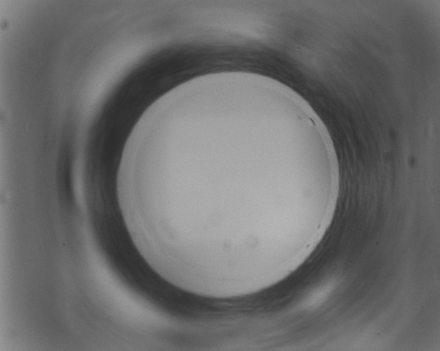 X0000074340431200608251050