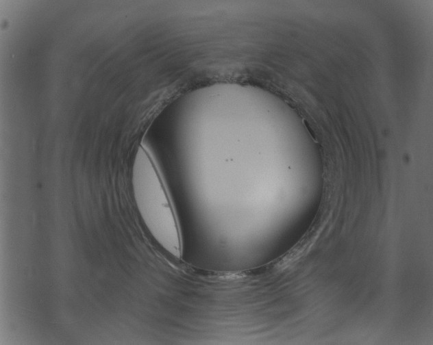 X0000074340432200608251050