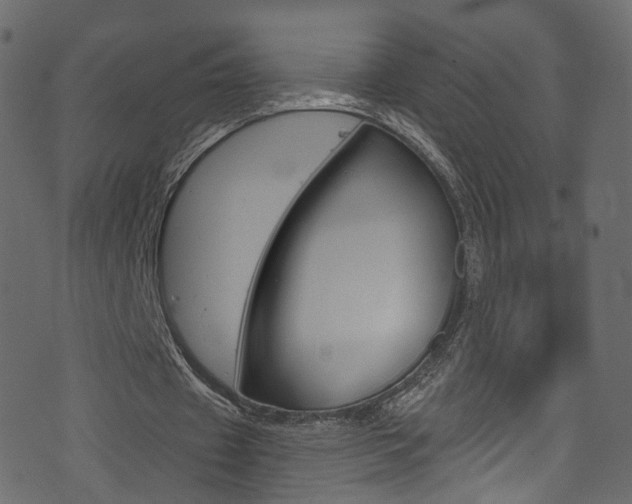 X0000074340433200608251049