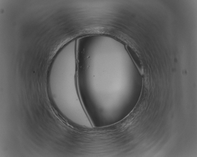 X0000074340434200608251049