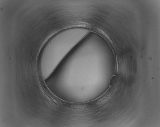 X0000074340435200608251049