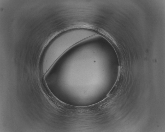 X0000074340436200608251049