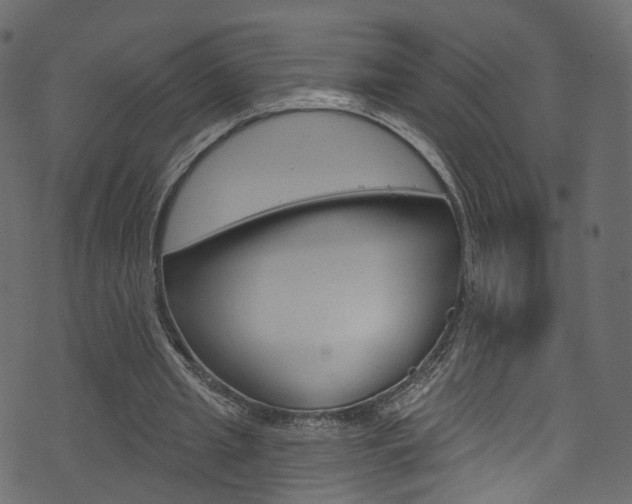 X0000074340437200608251049