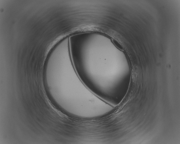 X0000074340438200608251049