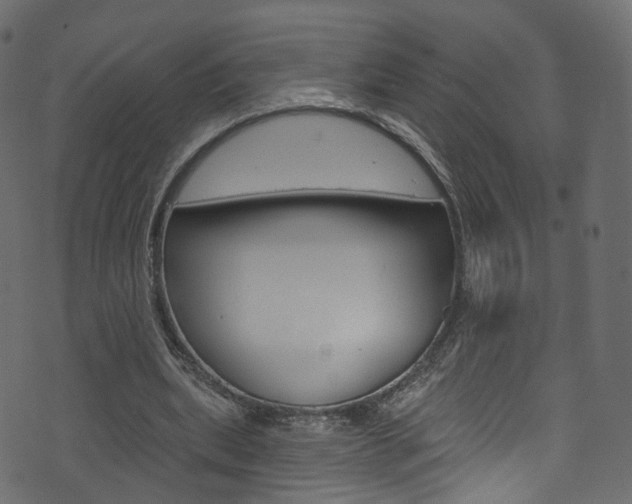 X0000074340439200608251049