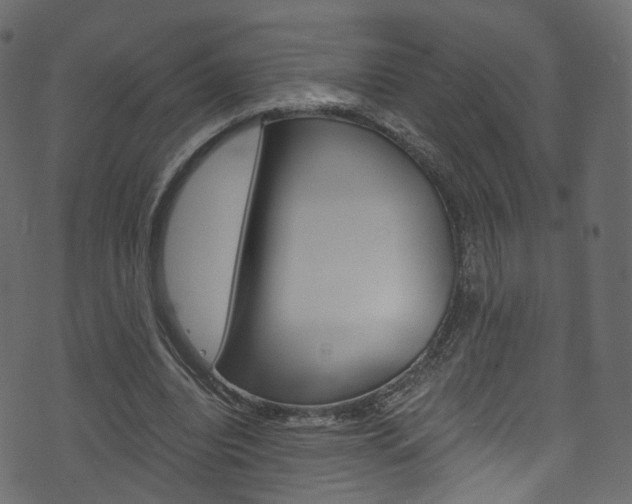 X0000074340440200608251049