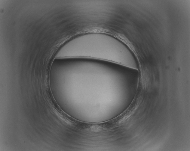 X0000074340441200608251049