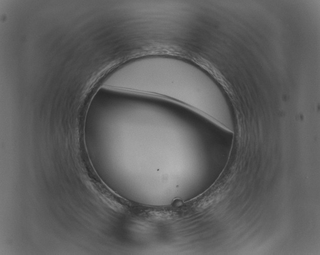 X0000074340442200608251049