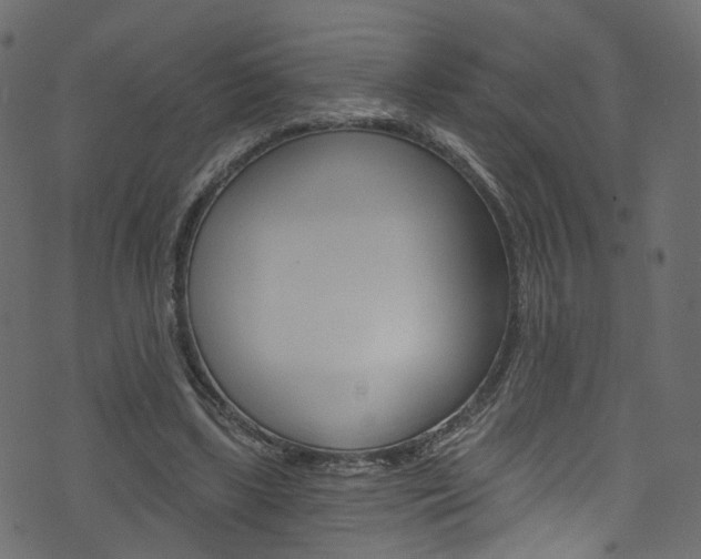 X0000074340443200608251049