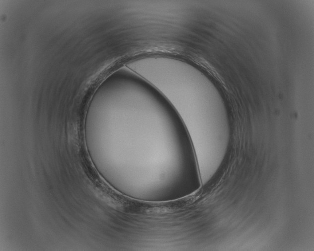 X0000074340444200608251049