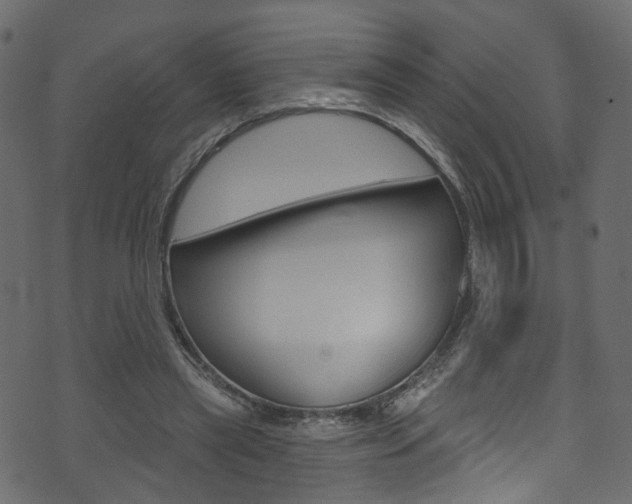 X0000074340445200608251049