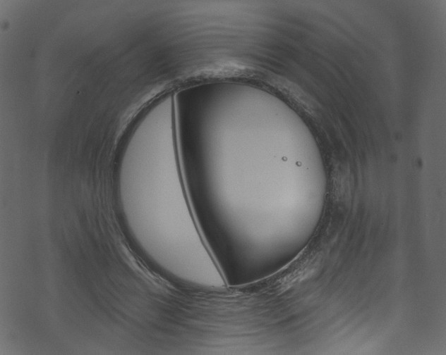 X0000074340446200608251049