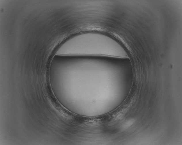 X0000074340447200608251049