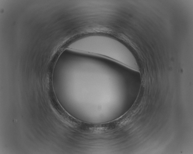 X0000074340448200608251049