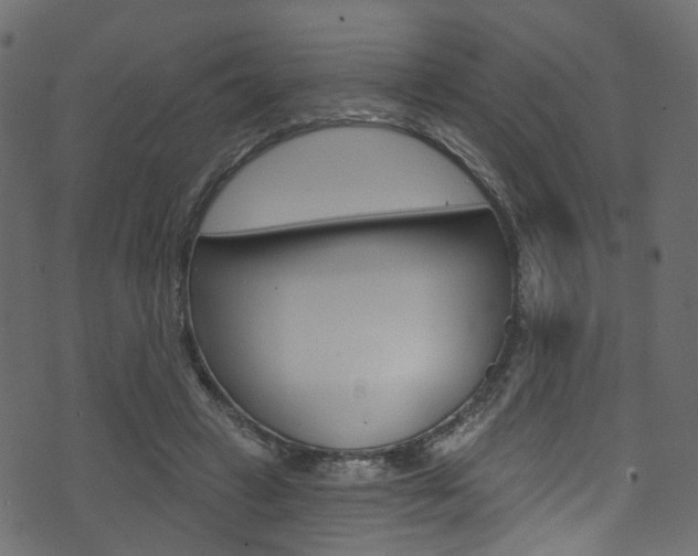 X0000074340449200608251049