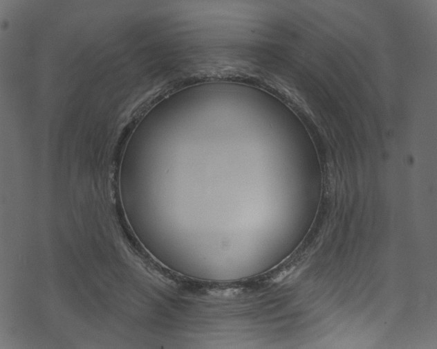 X0000074340450200608251049