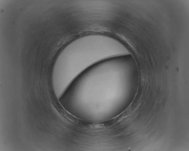 X0000074340451200608251049