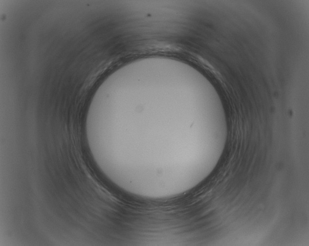 X0000074340452200608251049