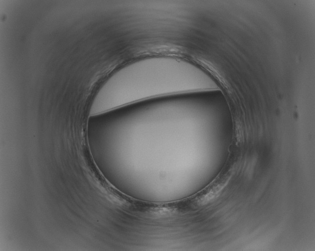 X0000074340453200608251049