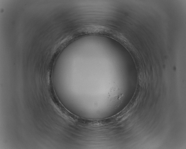 X0000074340454200608251049