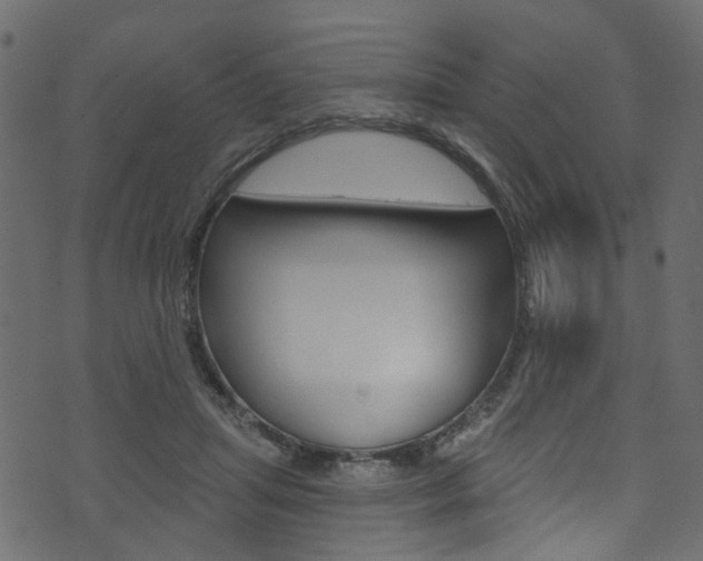 X0000074340455200608251049