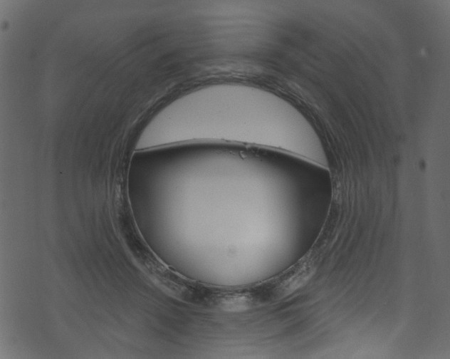 X0000074340456200608251050