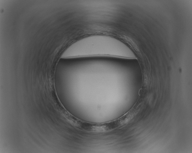 X0000074340457200608251050