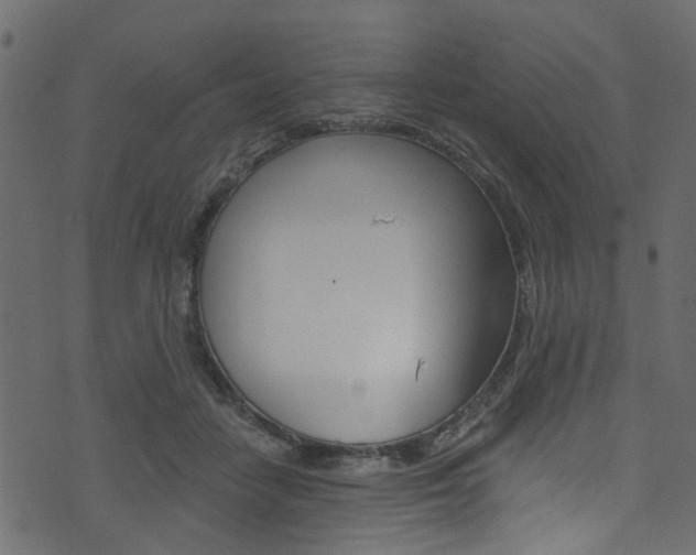 X0000074340458200608251050