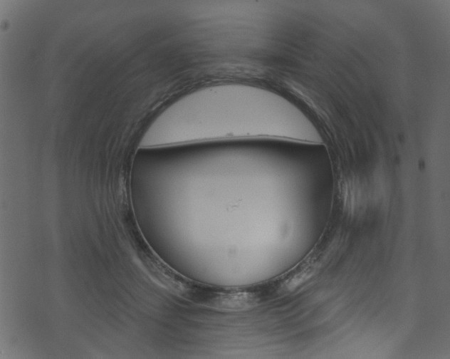 X0000074340459200608251050