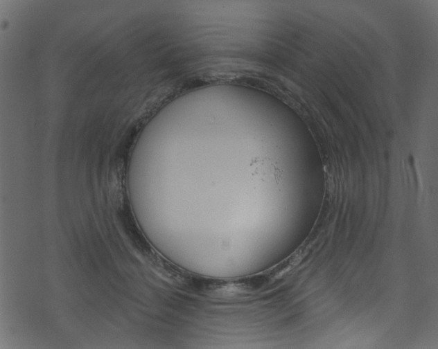 X0000074340460200608251050