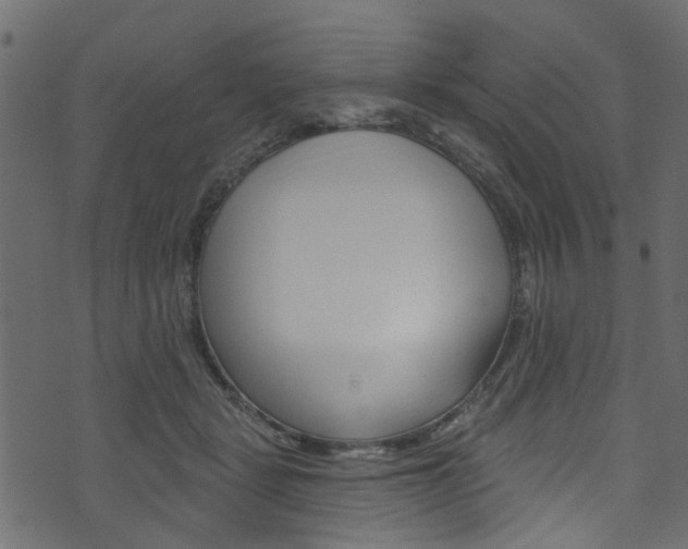 X0000074340461200608251050