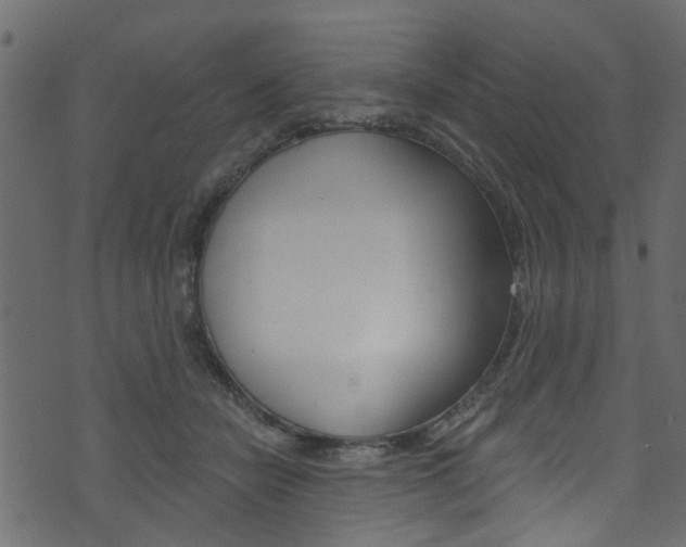 X0000074340462200608251050