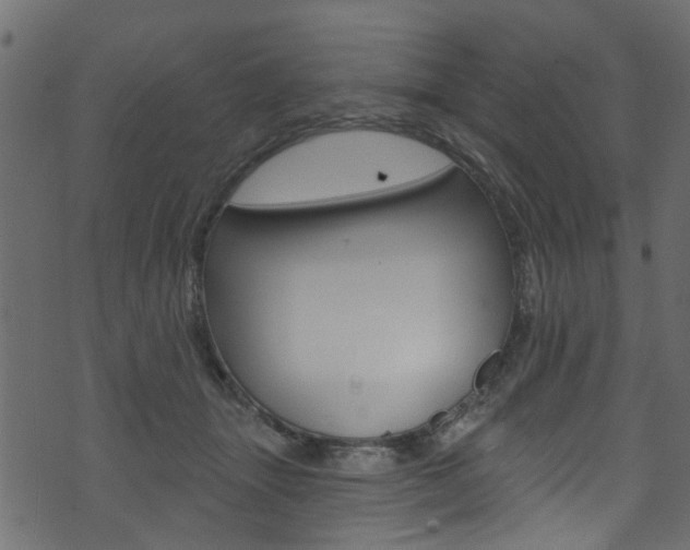 X0000074340463200608251050