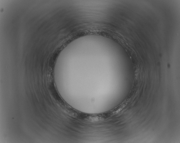 X0000074340464200608251050