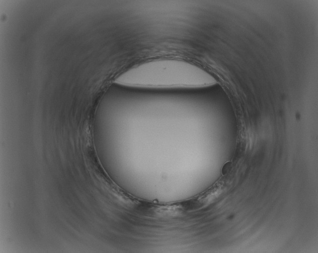 X0000074340465200608251050