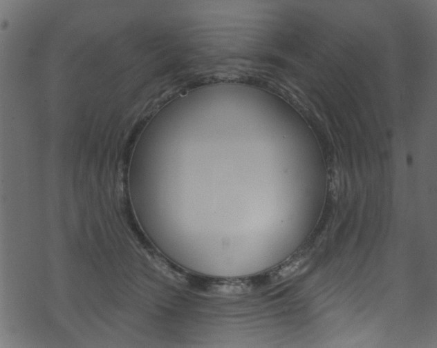 X0000074340466200608251050